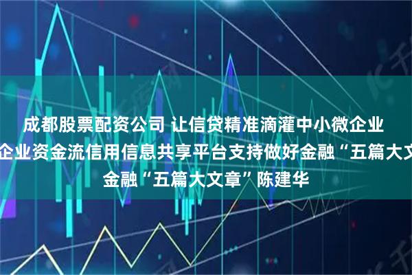成都股票配资公司 让信贷精准滴灌中小微企业 全国中小微企业资金流信用信息共享平台支持做好金融“五篇大文章”陈建华